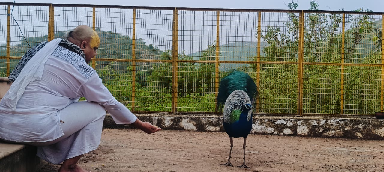 Pakshi Seva